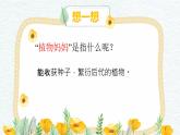 二年级上册语文教学课件-3.植物妈妈有办法7-部编版(共19张PPT)