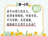 二年级上册语文教学课件-3.植物妈妈有办法7-部编版(共19张PPT)