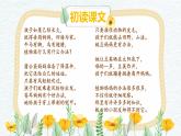 二年级上册语文教学课件-3.植物妈妈有办法7-部编版(共19张PPT)