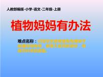 语文二年级上册3 植物妈妈有办法教学ppt课件