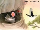 二年级上册语文教学课件-13.寒号鸟12-部编版(共18张PPT)