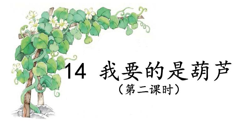 二年级上册语文教学课件-14.我要的是葫芦6-部编版(共19张PPT)01