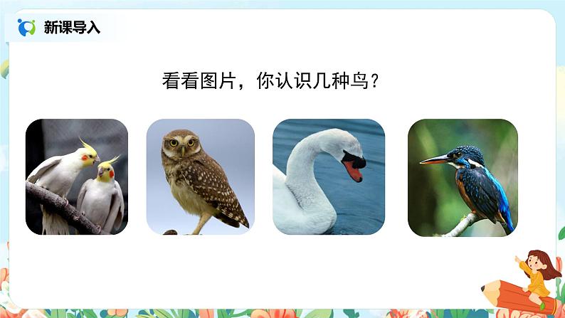 《搭船的鸟》课件+教案+练习02
