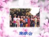 部编版二年级语文上册--17《难忘的泼水节》课件3