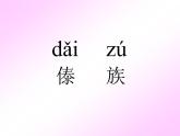 部编版二年级语文上册--17《难忘的泼水节》课件4