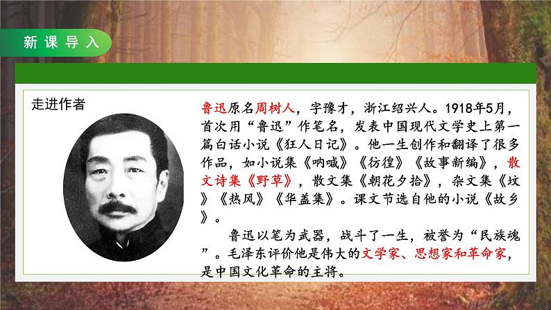 26好的故事第一课时课件+教案04