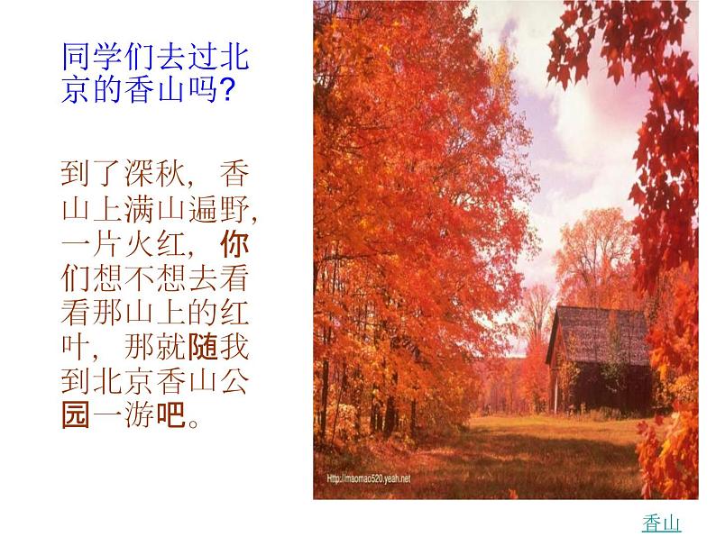 部编版三年级语文上册--4.1山行-课件第4页