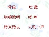 部编版三年级语文上册--10.在牛肚子里旅行-课件1