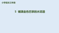 人教部编版三年级上册5 铺满金色巴掌的水泥道多媒体教学ppt课件