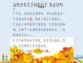 部编版三年级语文上册--5.铺满金色巴掌的水泥道-课件1