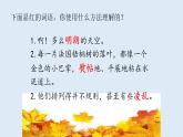 部编版三年级语文上册--5.铺满金色巴掌的水泥道-课件1