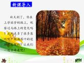部编版三年级语文上册--5.铺满金色巴掌的水泥道-课件2