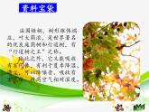 部编版三年级语文上册--5.铺满金色巴掌的水泥道-课件2