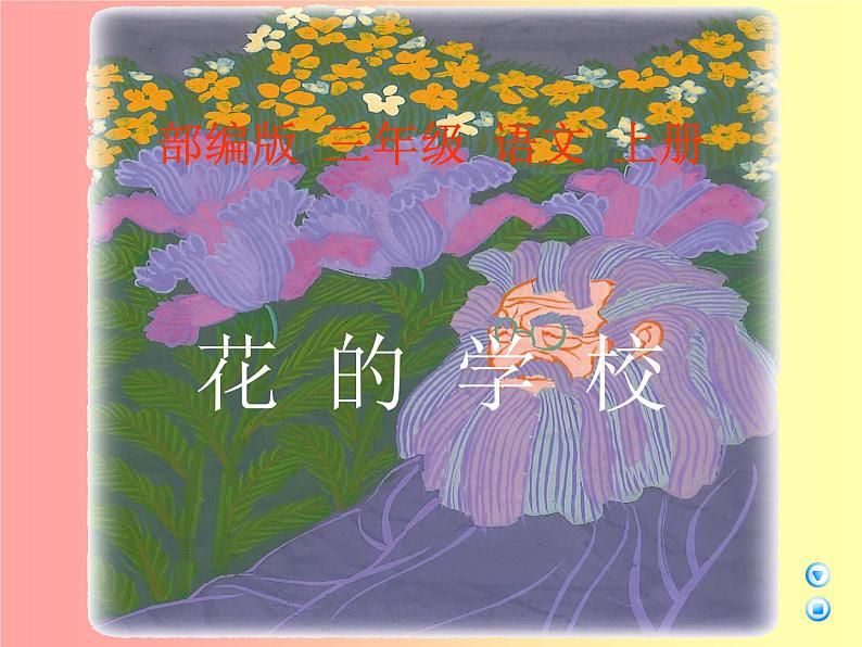 部编版三年级语文上册--2.花的学校-课件201