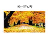 部编版三年级语文上册--7.听听秋的声音-课件2