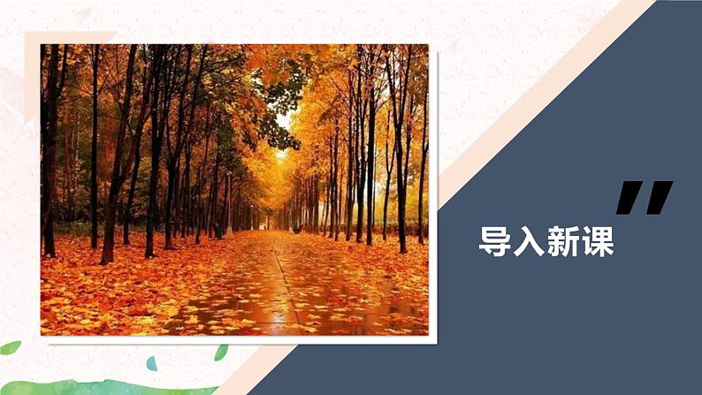部编版三年级语文上册《铺满金色巴掌的水泥道》课件第4页