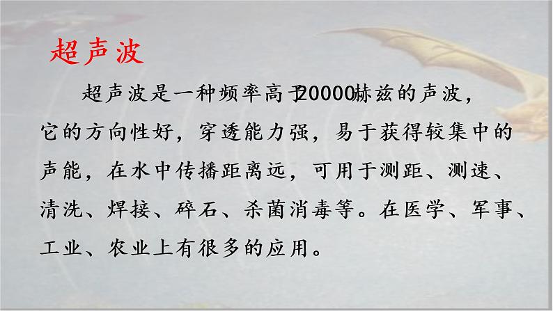 部编版语文四上6.《夜间飞行的秘密》课件+教案+素材07