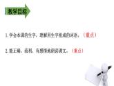 二年级下册语文课件－第6单元 18 太空生活趣事多. 第一课时｜人教（部编版）  (共14张PPT)