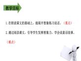 二年级下册语文课件－第4单元 9 枫树上的喜鹊. 第二课时｜人教（部编版）  (共15张PPT)