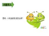 二年级下册语文课件－第7单元 22  小毛虫. 第二课时｜人教（部编版）  (共16张PPT)