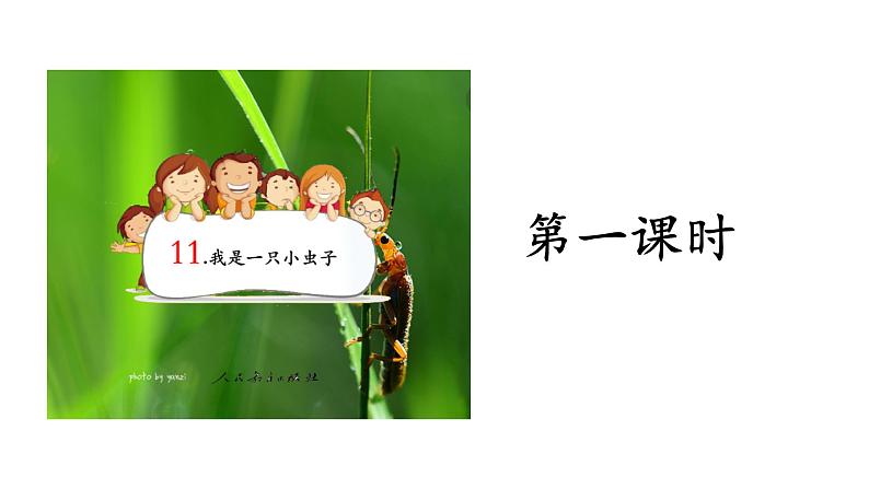 二年级下册语文课件－第4单元 11 我是一只小虫子.第一课时｜人教（部编版）  (共14张PPT)第3页