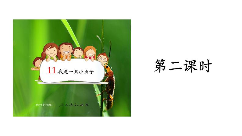 二年级下册语文课件－第4单元 11 我是一只小虫子.第二课时｜人教（部编版）  (共14张PPT)第2页