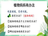 第3课《植物妈妈有办法》课件  2022-2023学年部编版语文二年级上册