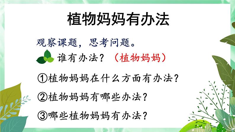 第3课《植物妈妈有办法》课件  2022-2023学年部编版语文二年级上册02