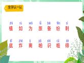 第3课《植物妈妈有办法》课件  2022-2023学年部编版语文二年级上册