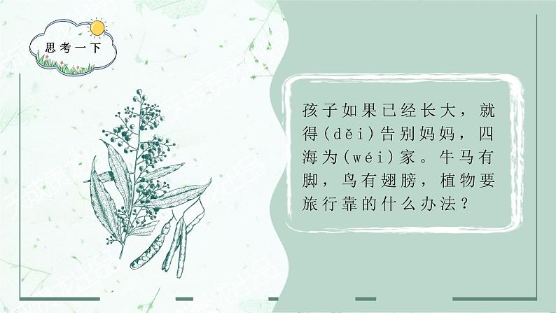 第3课《植物妈妈有办法》课件  2022-2023学年部编版语文二年级上册07