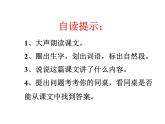 部编版三年级语文上册--16.金色的草地-课件