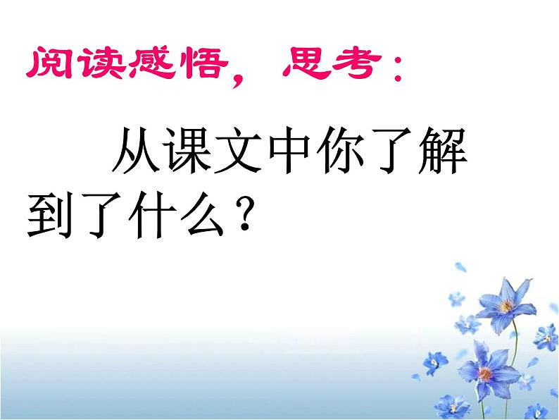 部编版三年级语文上册--23.父亲、树林和鸟-课件02