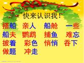 部编版三年级语文上册--15.搭船的鸟-课件1