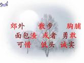 部编版三年级语文上册--25.灰雀-课件1