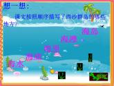 部编版三年级语文上册--18.富饶的西沙群岛-课件2