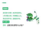 人教部编版（五四制）三年级下册课件语文荷花
