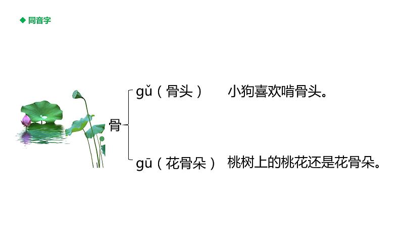 人教部编版（五四制）三年级下册课件语文荷花05