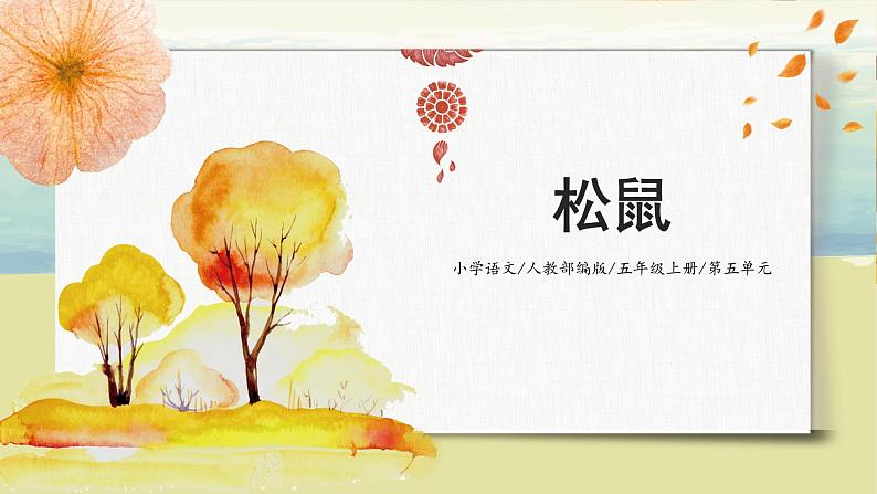 5.2《松鼠》（第二课时）课件+教案+练习01