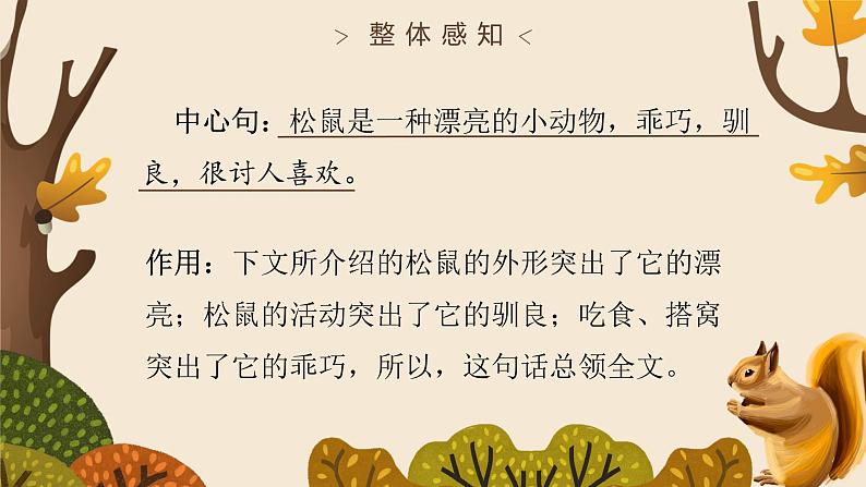 5.2《松鼠》（第二课时）课件+教案+练习05