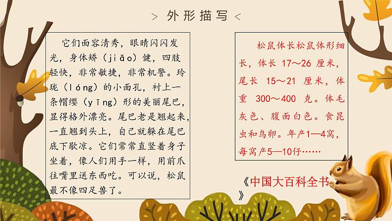 5.2《松鼠》（第二课时）课件+教案+练习07