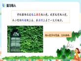 《爬山虎的脚》第二课时课件PPT+教案+练习
