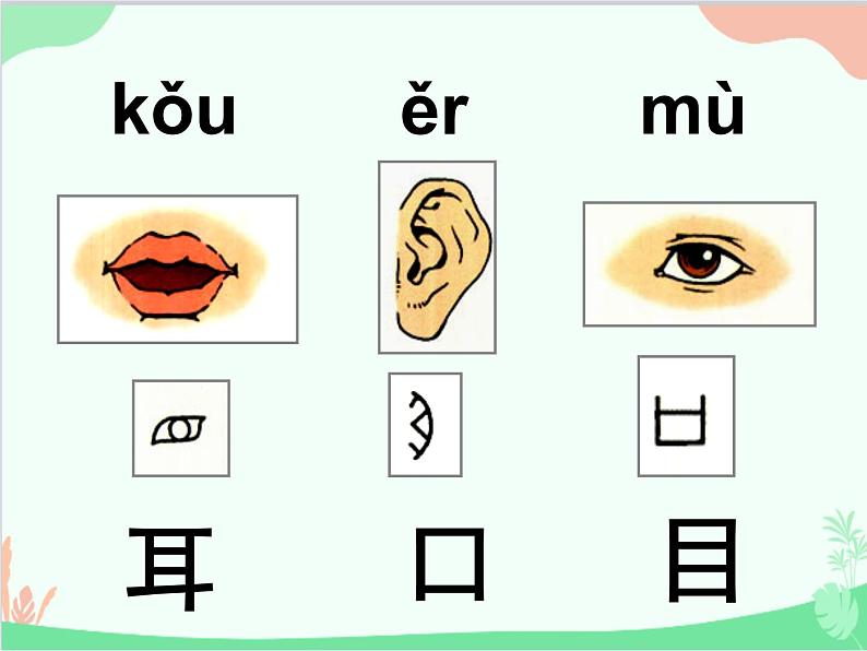 部编版语文一年级上册3 口耳目 课件202