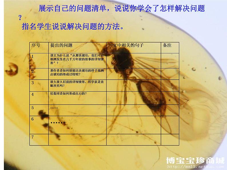 部编语文《琥珀》第二课时PPT课件第2页