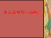 部编版三年级语文上册--15.搭船的鸟-课件4
