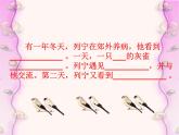 部编版三年级语文上册--25.灰雀-课件4