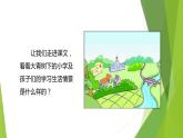 三年级上册语文教学课件-1.大青树下的小学14-部编版(共14张PPT)