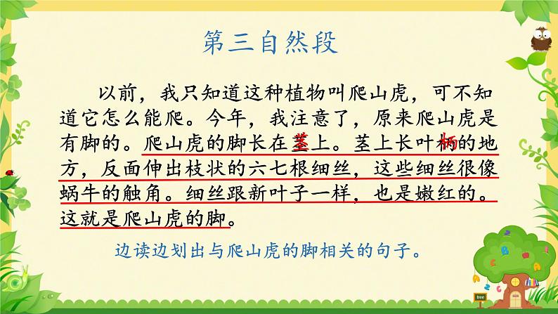 人教部编版语文四年级上册10.爬山虎的脚  课件第2页