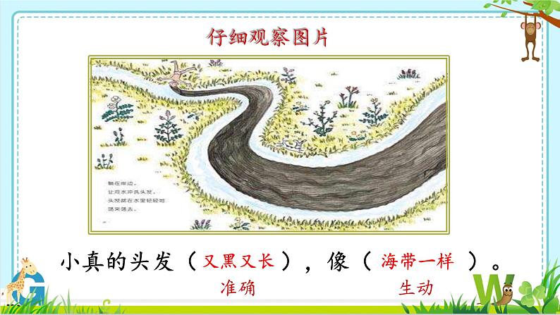 人教部编版语文四年级上册10.爬山虎的脚  课件第6页