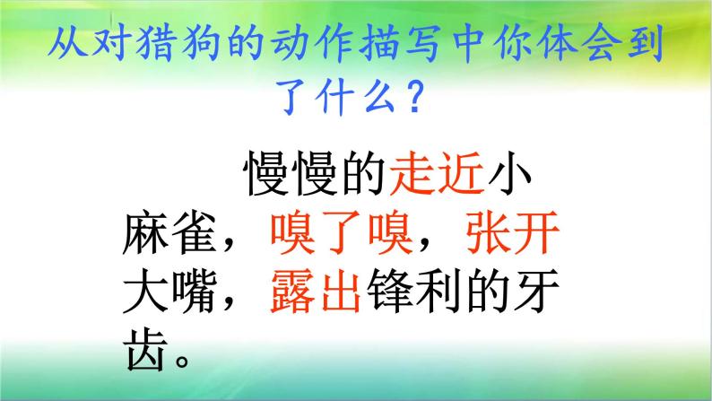 人教部编版语文四年级上册16.麻雀  课件07