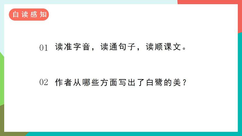 1《白鹭》课件+教案+导学案+素材07